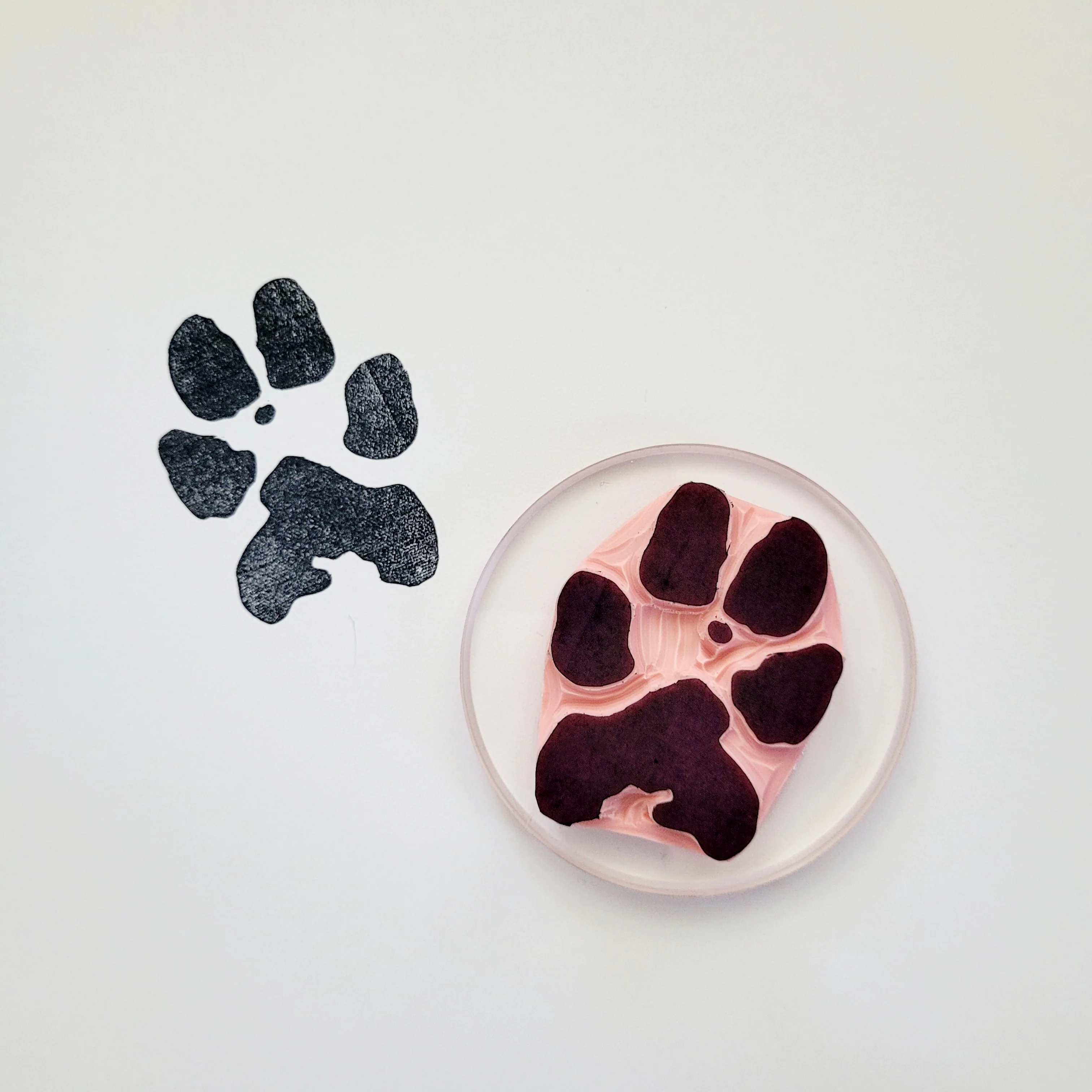 Paw Print Pet Stamp | Salt & Paper - Image 3